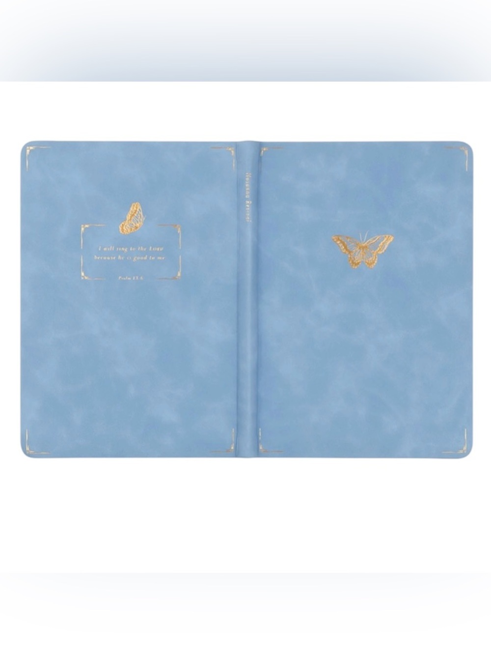 HOSANNA REVIVAL NOTEBOOK: BETHANY THEME